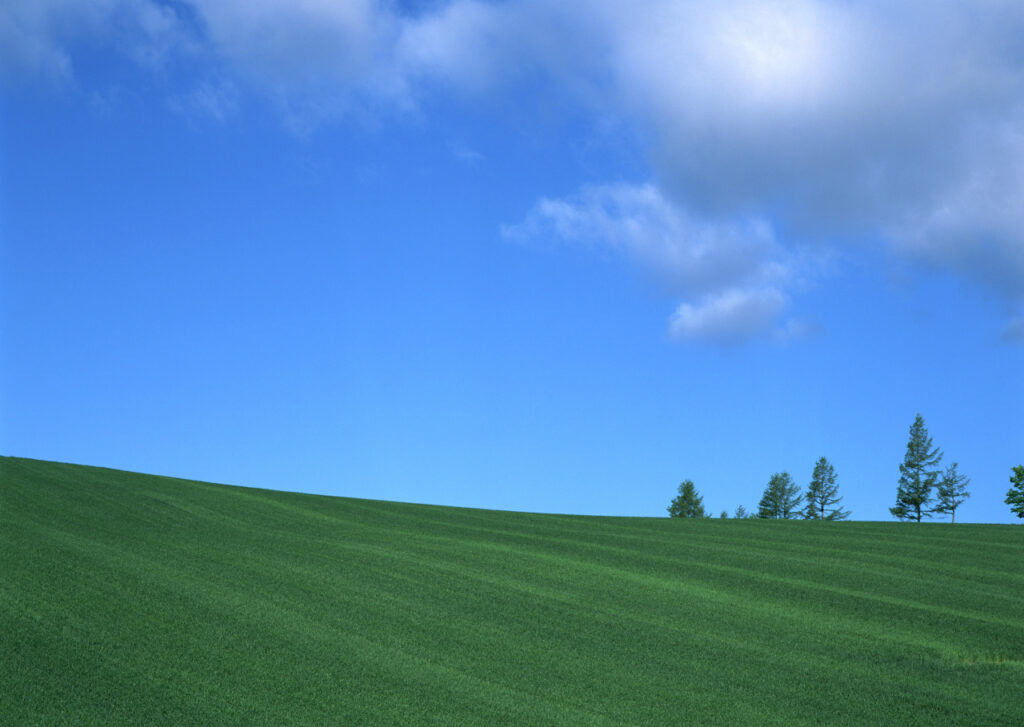 カエルミライ合同会社